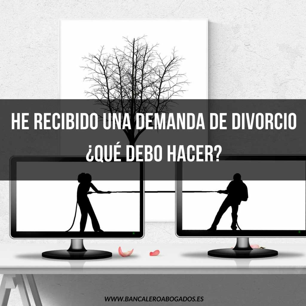 [company_name_branding] Divorcio